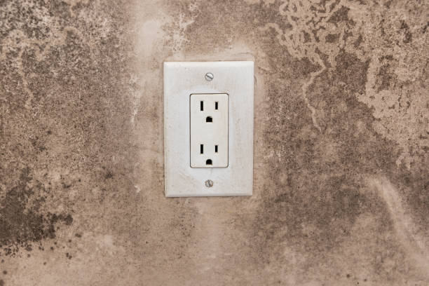 Trusted Matthews, NC Mold Removal Experts
